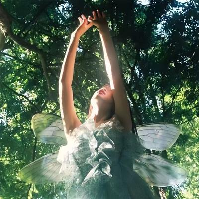 尖锋之烈焰青春